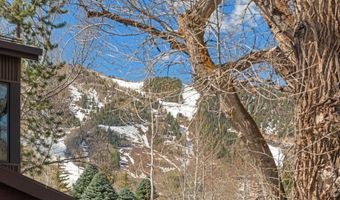 534 And 536 Spruce St 1 And 2, Aspen, CO 81611