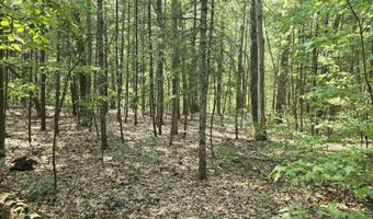 Lot 9 Wildwood Drive, Allegan, MI 49010