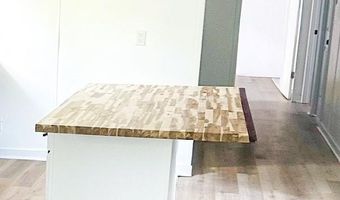 2976 Stephens Rd, Bethune, SC 29009