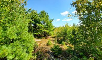 Lot 3 W. McMann & Porcupine Hill Road, Addison, ME 04606