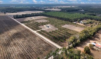 965 NW 55th Ave, Bell, FL 32619