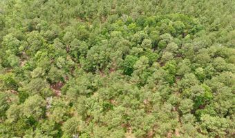 Fox Paw Court, Branchville, SC 29432