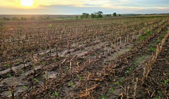W 50th Dr, Alton, KS 67623