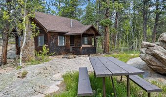 84 County Road 113 N, Allenspark, CO 80510