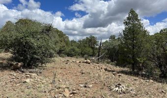 415 XYZ, Arenas Valley, NM 88022