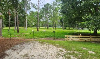 786 Blackberry Rd, Baconton, GA 31716