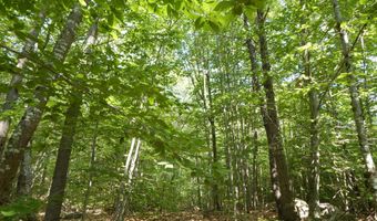 Lot 6 Maplecrest Road, Parsonsfield, ME 04047