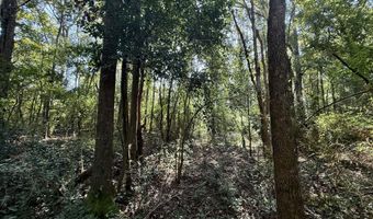 Tbd Williams, Brookhaven, MS 39601