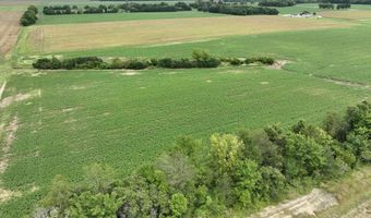 290 CR, Asbury, MO 64832