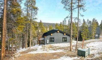 148 N Aspen St, Alma, CO 80420