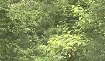 POLARIS CIRCLE lot 9, Alpine, AL 35014