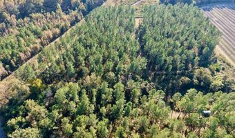 TBD Binnicker Bridge Road, Bamberg, SC 29003