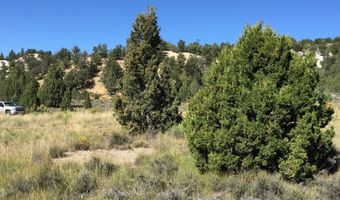 unit B2 B2, Alton, UT 84710