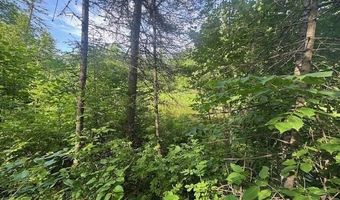 8488 Hwy 73, Angora, MN 55703