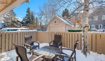 825 E Hopkins Ave 2S, Aspen, CO 81611