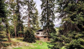 2221 CEDONIA ADDY Rd, Addy, WA 99101