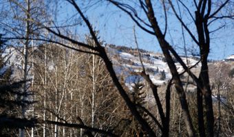 1395 Sierra Vista Dr Unit 1, Aspen, CO 81611