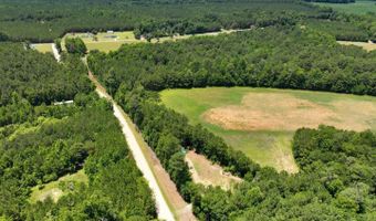 Rooks Road, Atkinson, NC 28421