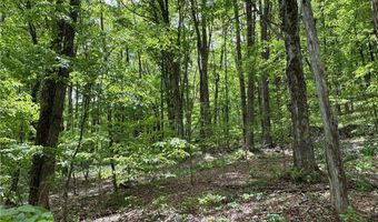 Woodland Hills Road, Andes, NY 13731