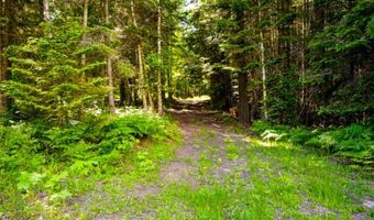 13376 Bug Creek Rd, Bigfork, MT 59911