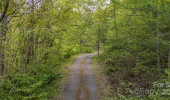000 Buena Vista Dr 25, Barnardsville, NC 28709