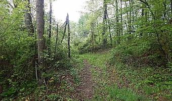 15252 27 Mile Rd, Albion, MI 49224