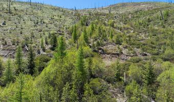 0 1680 NFS Rd, Unity, OR 97884