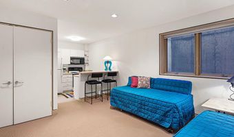 530 W Francis St, Aspen, CO 81611