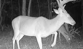 2200 Gillionville Rd, Albany, GA 31707