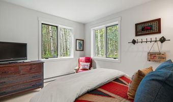 9555 Castle Creek Rd, Aspen, CO 81611
