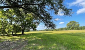 Lot 5b Rains County Road 2420, Alba, TX 75410