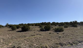 Lot 49 Windsor valley Ranch Drive, Concho, AZ 85924
