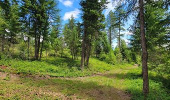 NNA Continental Lane-Tract 1, Bonners Ferry, ID 83805