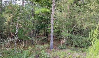 Putnam Avenue lot 5, Alford, FL 32420