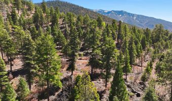 El Salto Road 13 Plus Acres, Arroyo Seco, NM 87514