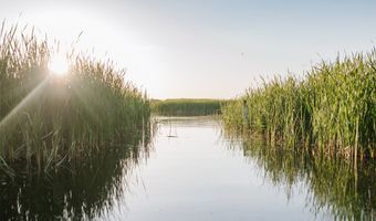 900 150th Ln NW, Andover, MN 55304