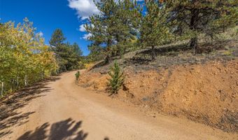 103 Gross Rd, Bailey, CO 80421