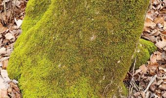 4775 S 50th Rd, Aldrich, MO 65601