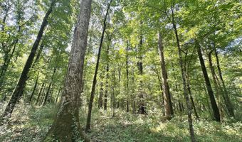 1 Champion Hill Rd, Bolton, MS 39041