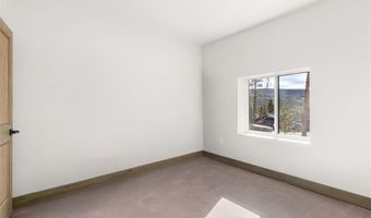 141 N Aspen St, Alma, CO 80420