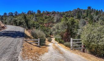 1244 Stallion Way, Angels Camp, CA 95222