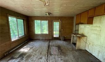 951 Swede Lake Trl SW, Backus, MN 56435
