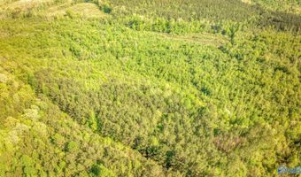 87 Acres Kay Hollis Rd, Beaverton, AL 35544