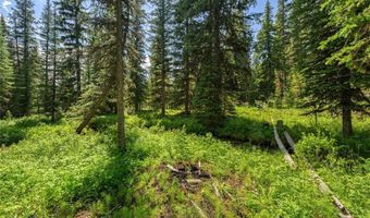 441 Red Lion Rd, Anaconda, MT 59711