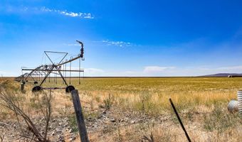 138 N LAIDLAW PARK Rd, Carey, ID 83320