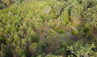 10 Acres CR 9204, Alpena, AR 72611