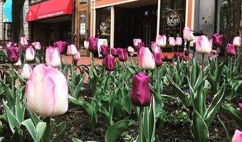 925 36th St, Boulder, CO 80303