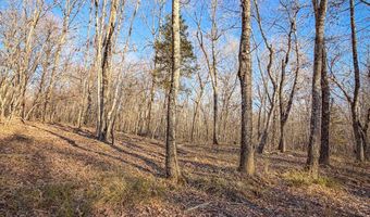 Farris Rd, Atoka, OK 74525