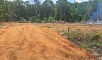 709 Old Pinola Braxton Rd, Braxton, MS 39044