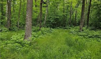 0000 280th Pl, Aitkin, MN 56431